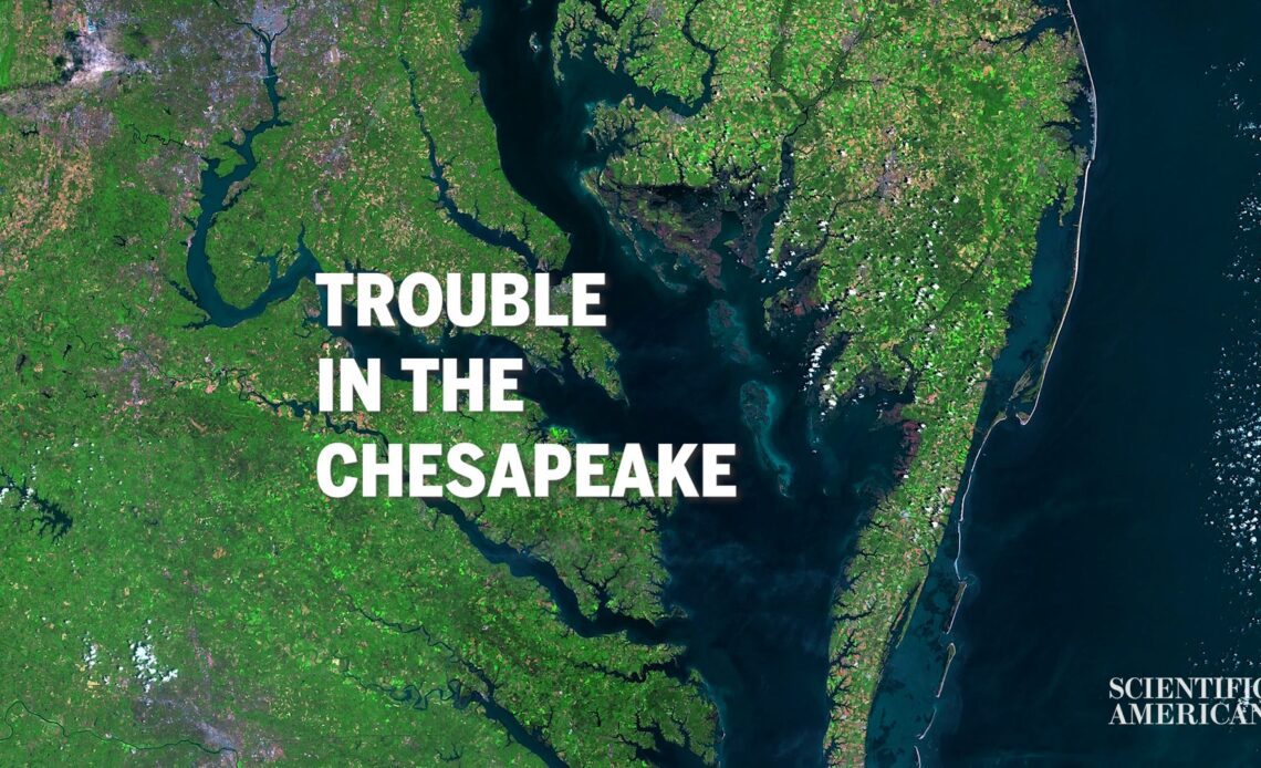 Will the Chesapeake Bay Become a Dead Zone?