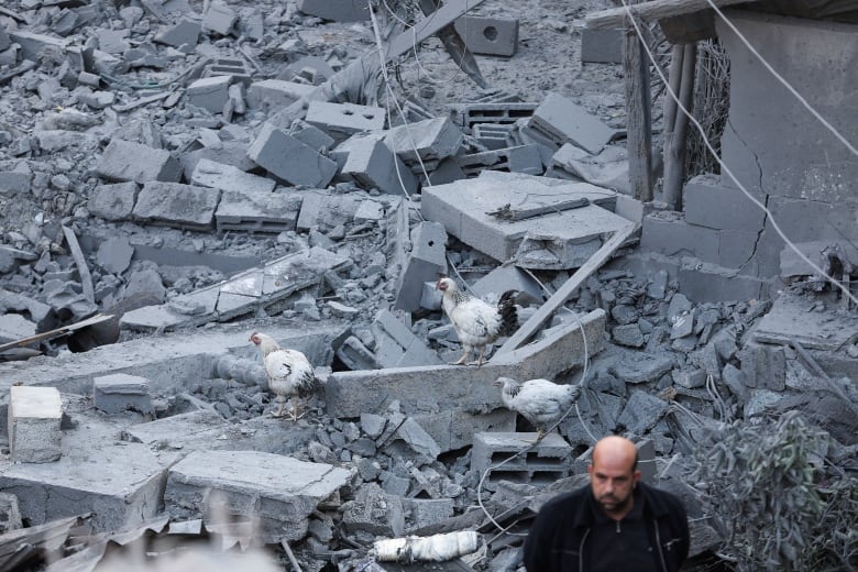 Chickens walk on top of rubble at the site of Israeli strikes on houses.