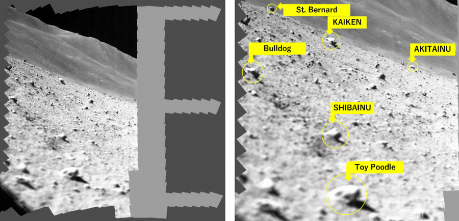 SLIM’s camera captured a an image of a landscape strewn with rocks, which researchers named after dogs.