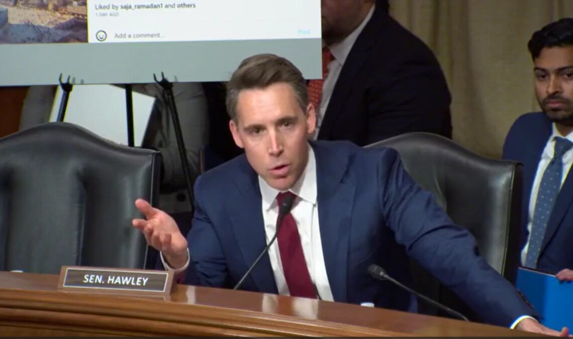 Hawley in a hearing