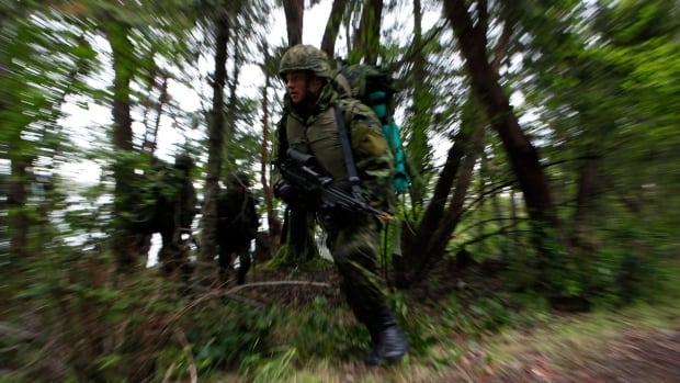 State of Canadian Armed Forces' combat readiness growing worse, government report warns