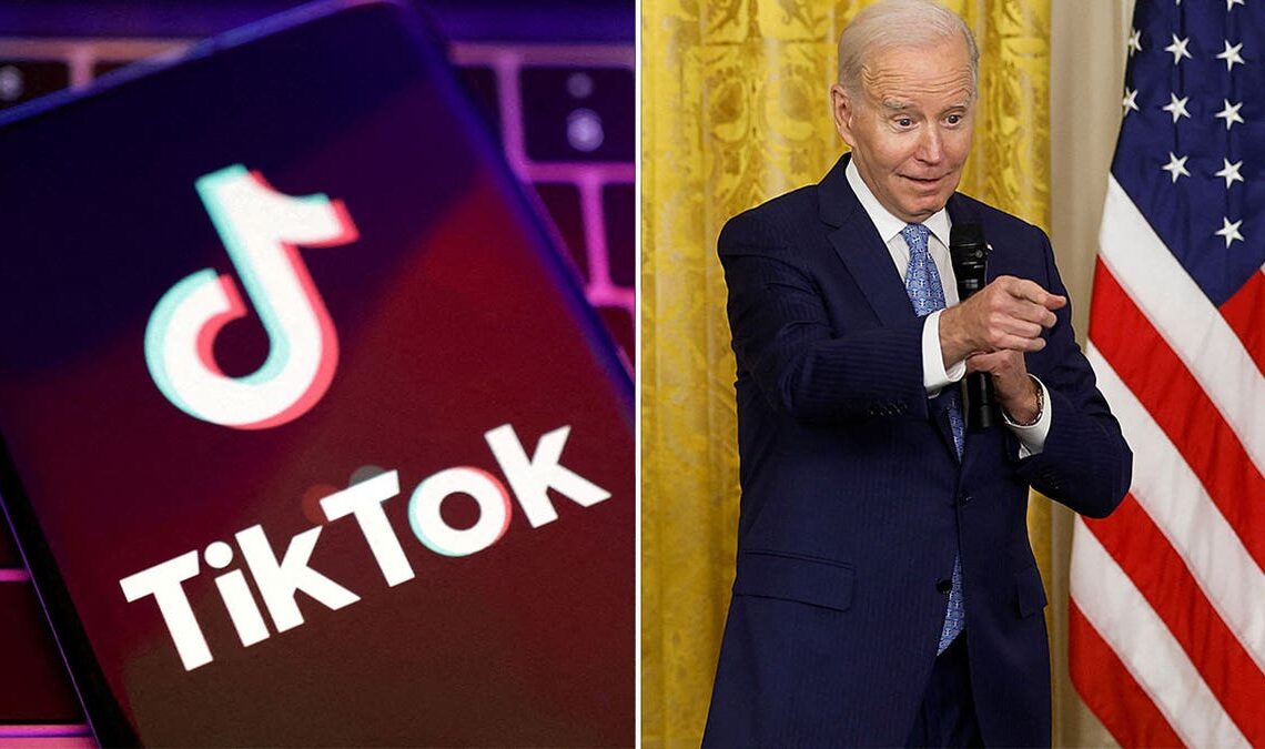 Biden and TikTok