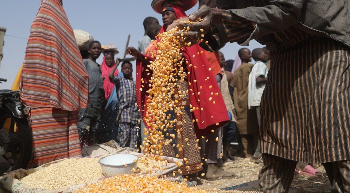 Nearly 55 million face hunger in West and Central Africa, UN warns | Hunger News