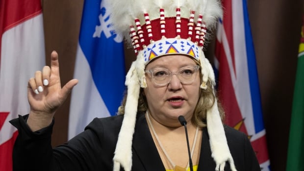 Omission of reconciliation 'glaring' and 'alarming' in budget speech, First Nations leaders say