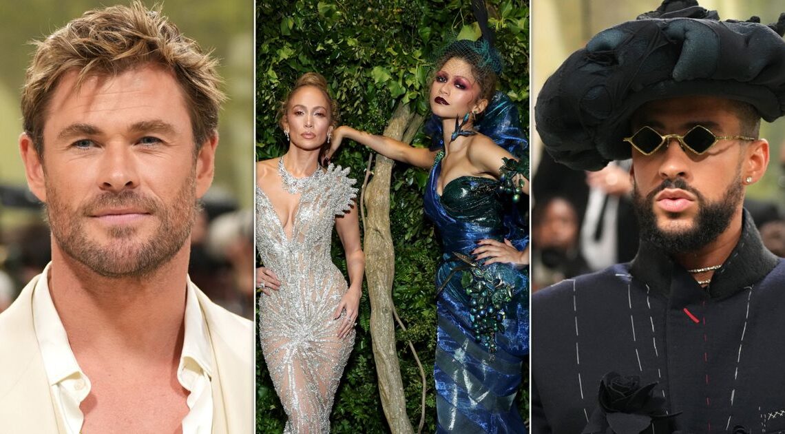 Here's Everything You Might Have Missed At The 2024 Met Gala