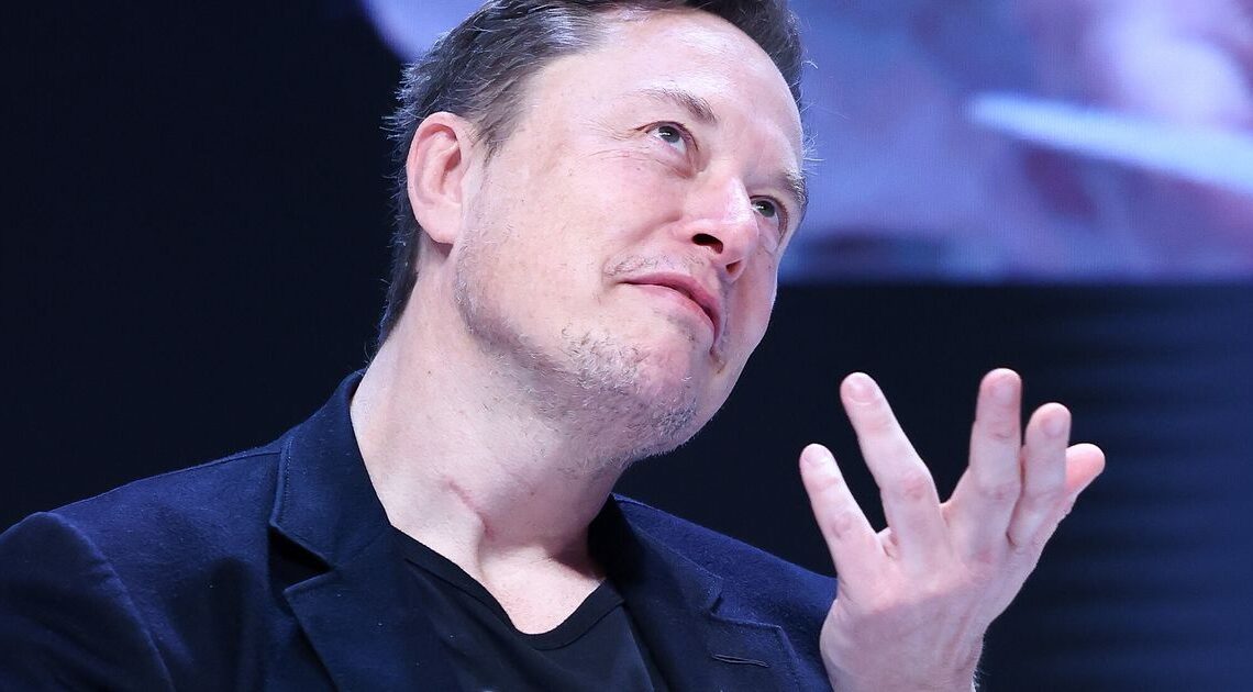 Elon Musk Privately Welcomed 12th Child Earlier This Year