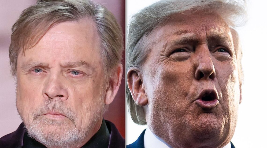 Mark Hamill Delivers Supreme Trump Troll With Holiday ‘News’