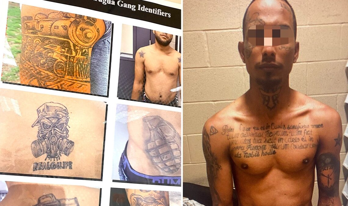 These images from a CBP intelligence bulletin, show tattoos and identifiers for Tren De Aragua.