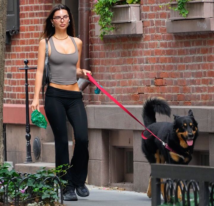 Emily Ratajkowski walks her dog on Tuesday, Aug. 20, 2024, in New York City.