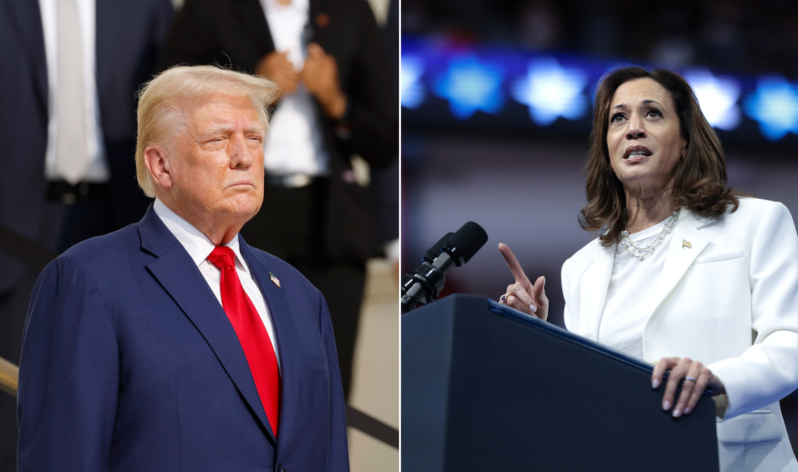 Trump Harris split image