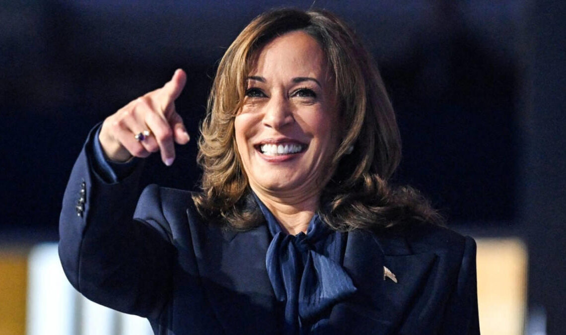 Strategist breaks down how Harris looks to ‘rise above the attacks’ on her racial identity