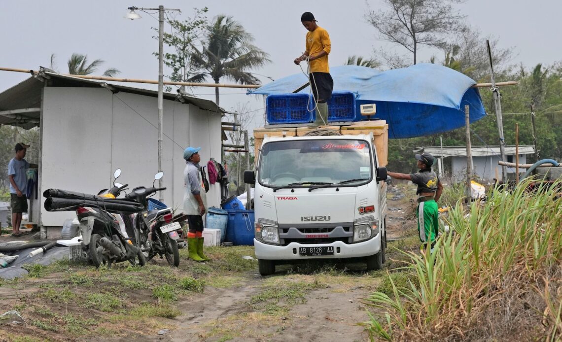 As big supermarkets pursue profits, new research shows growing exploitation of shrimp farmers