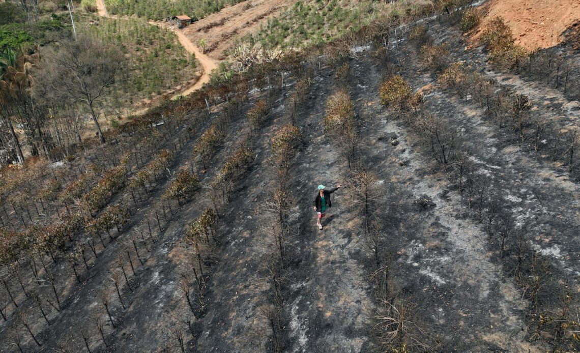 Brazil drought punishes coffee farms and threatens to push prices even higher