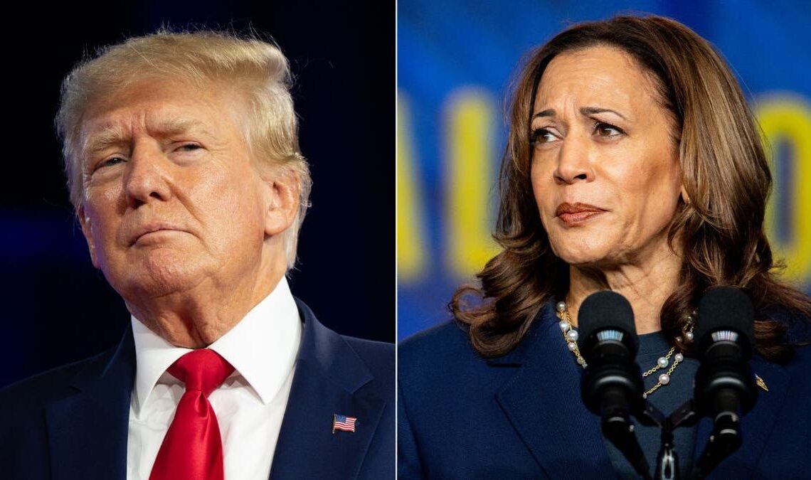 Trump Harris side by side split