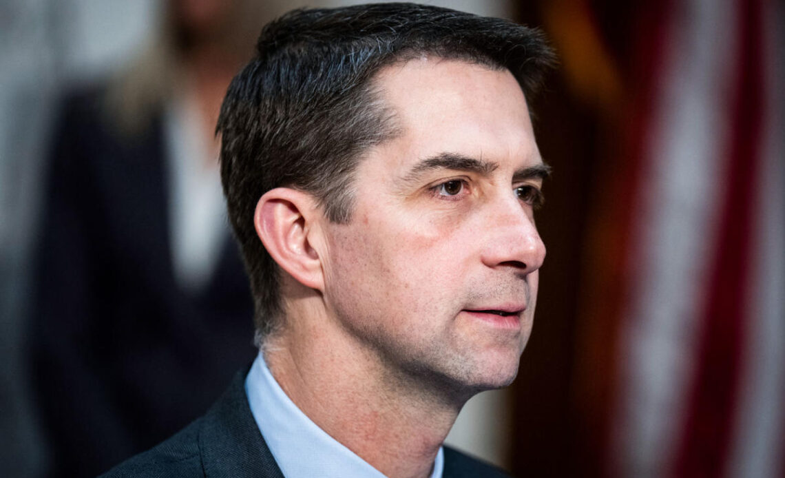 GOP Sen. Tom Cotton says Republicans are 'open' to Trump’s IVF plan but it should be ‘fiscally evaluated’