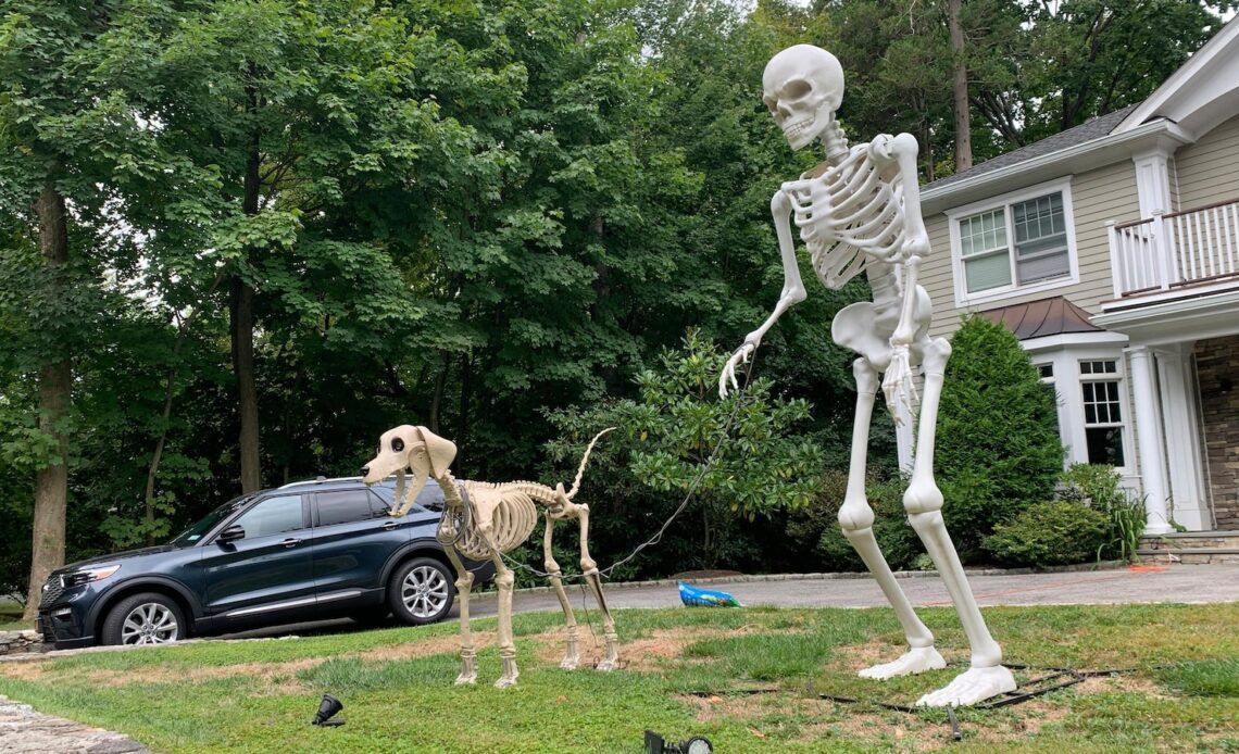 Halloween superfans see the culture catching up to them. (A 12-foot skeleton helped)