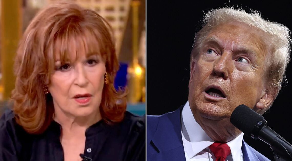 Joy Behar Asks 'The View' Panel If Trump Has 'The Big D'