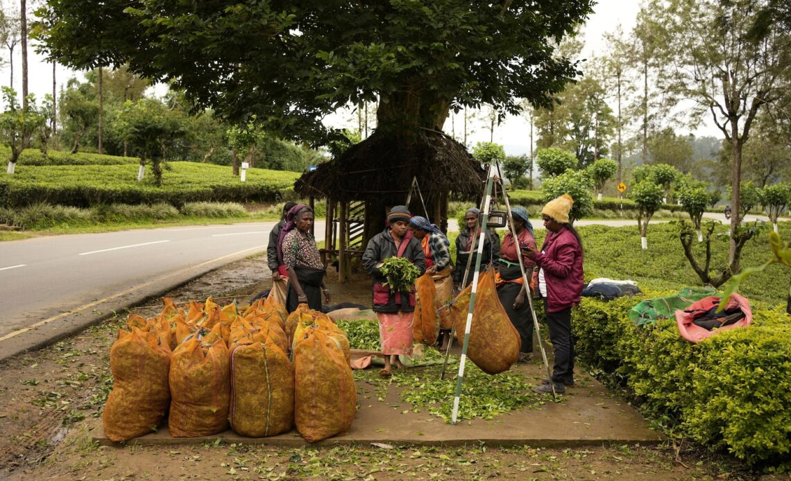 Sri Lanka's plantation workers live on the margins. But politicians still want their votes