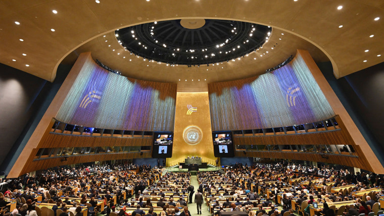 United Nations General Assembly 2024