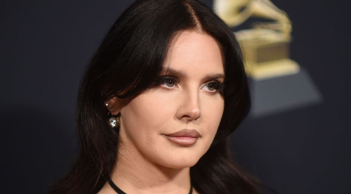 Lana Del Rey Slams 'Local Couple' For 'Flying Drones Into Our Windows' After Her Wedding