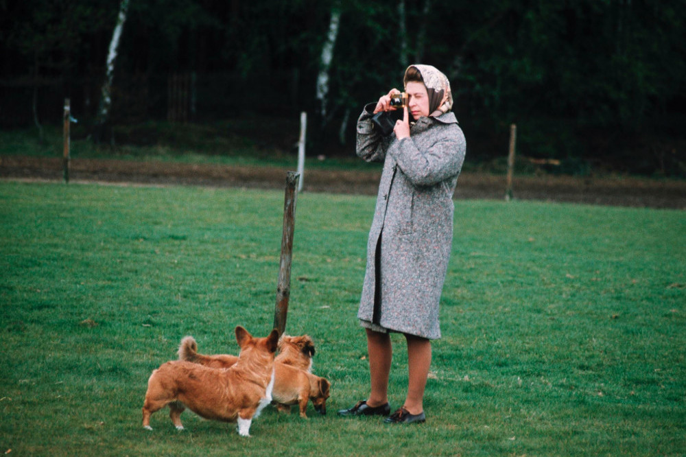 Queen Elizabeth used bagpipes to stop her beloved corgis barking