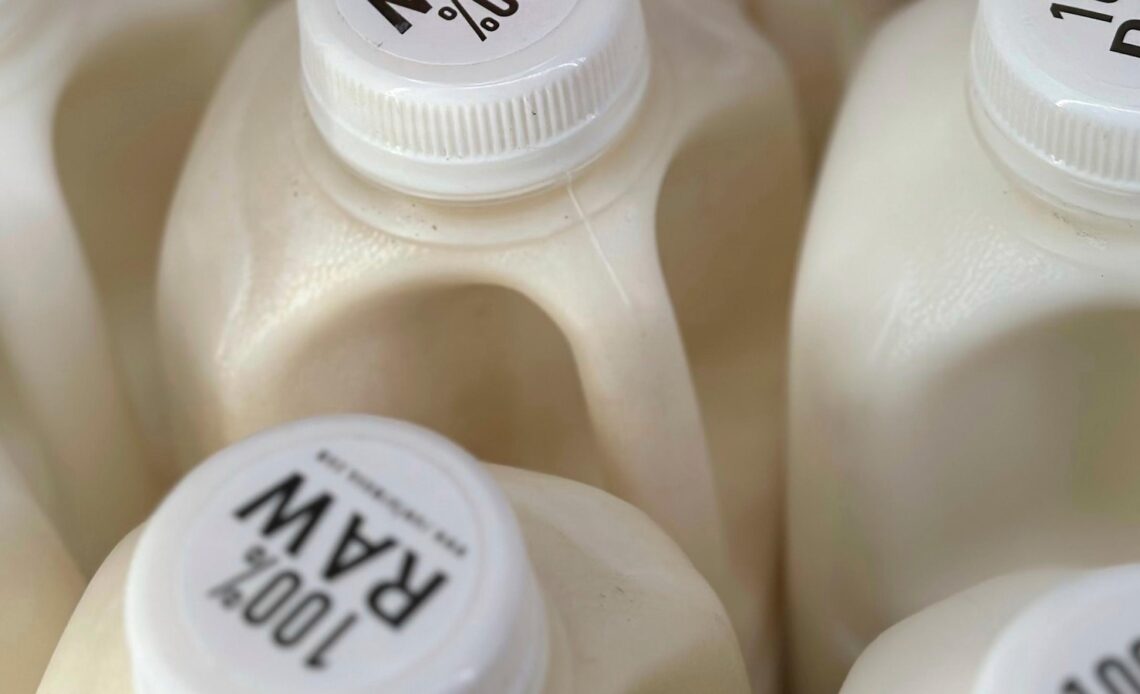 Bird flu virus was found in raw milk. What to know about the risks