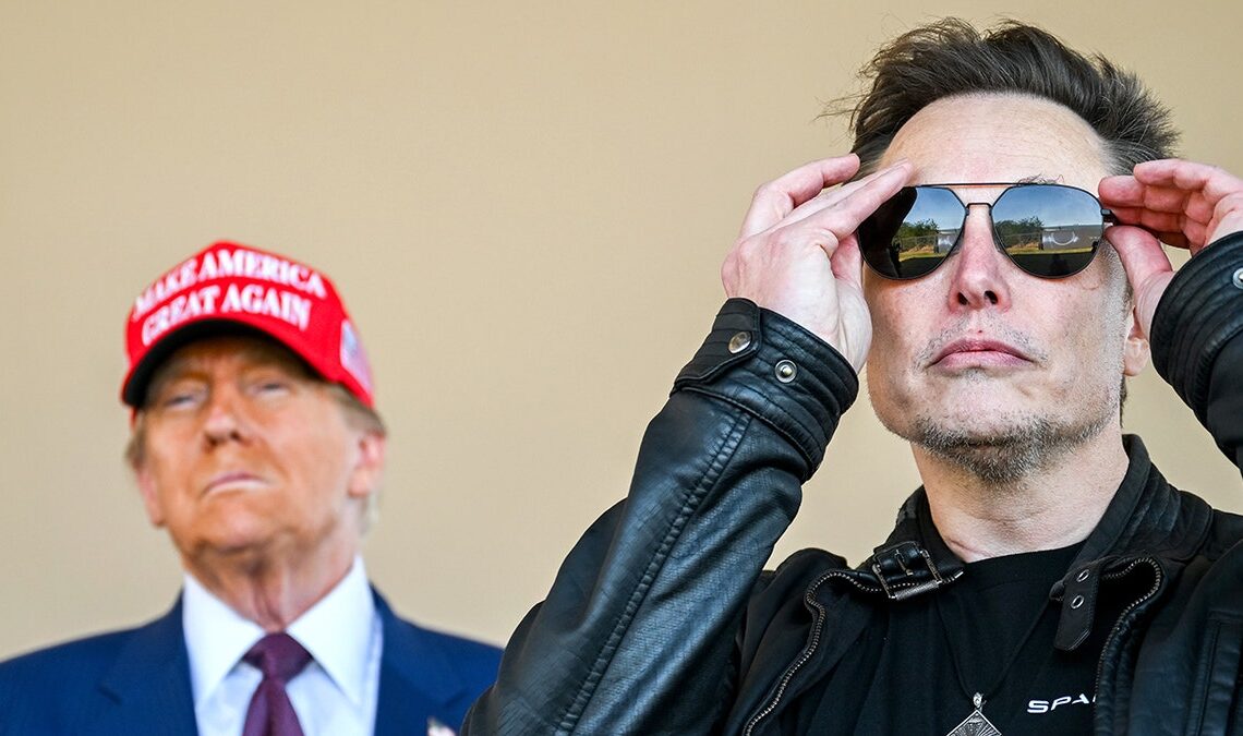 Donald Trump and Elon Musk