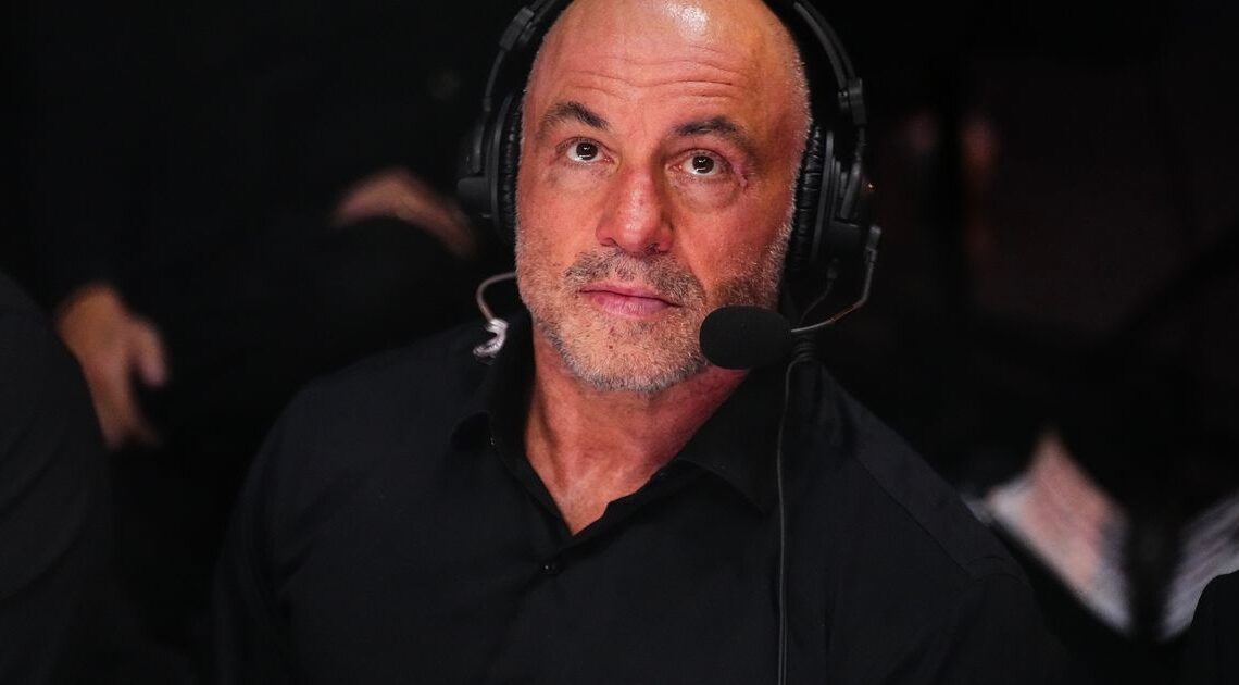 Joe Rogan Claims Democrats Are 'Scrambling' To Imitate His Podcast