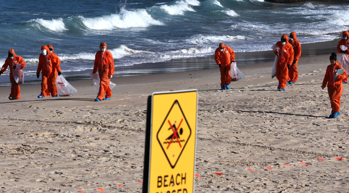 Origin of black balls on Australian beaches still a mystery, but composition is confirmed, and it's gross