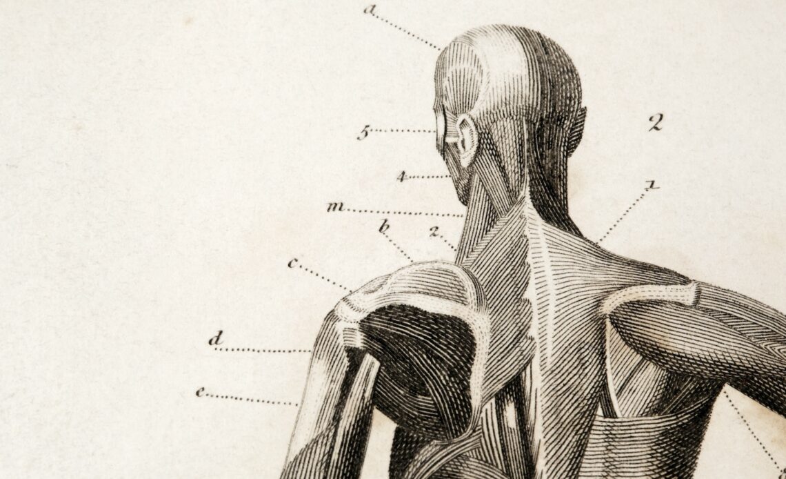 Rare diseases: Medical conditions you may never have heard of before