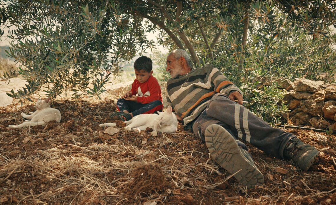 Rooted in the West Bank: 25 years of defying settler violence | Documentary