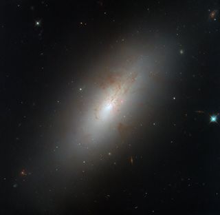 An image of NGC 4694, a smooth, glowing galaxy shaped like an ellipse with barely any star formation