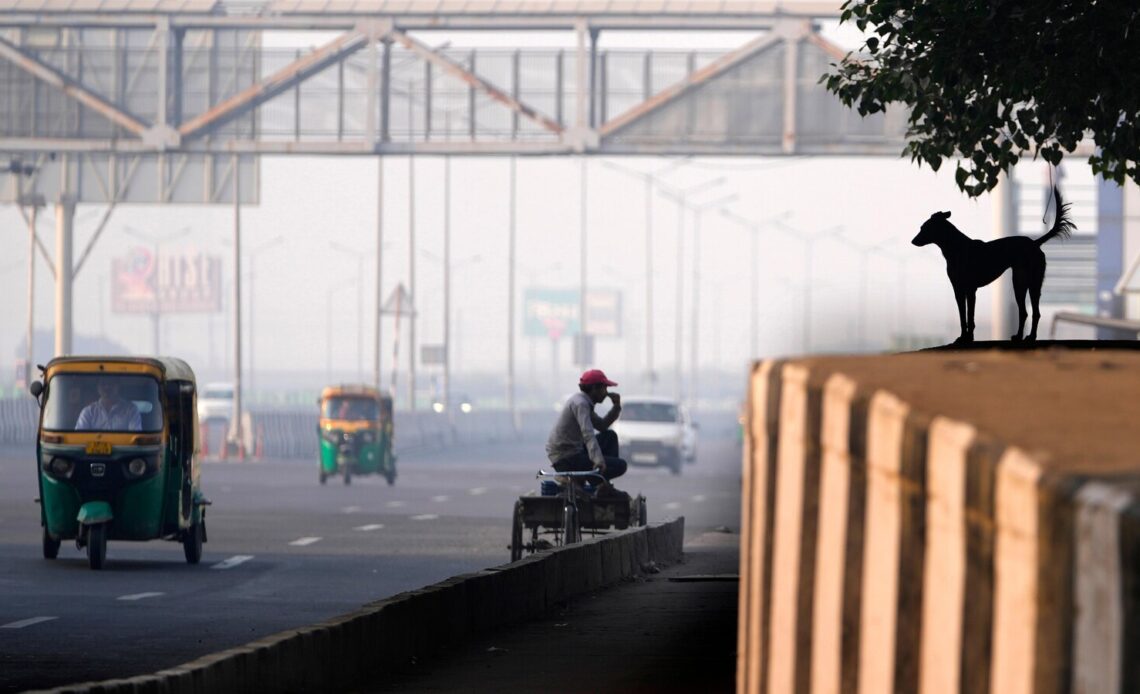 Toxic smog cloaks New Delhi a day after Diwali festival as firecracker smoke worsens air quality