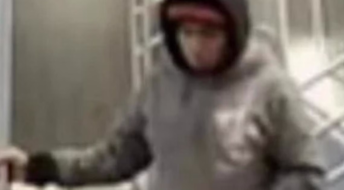 Officials seek identity of woman burned alive in New York City