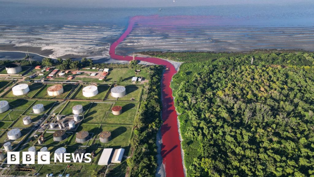 Argentina canal on outskirts of Buenos Aires turns bright red