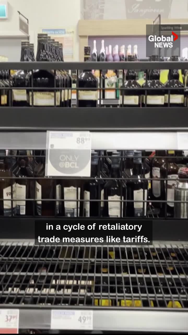 Click to play video: 'What is a trade war, and what would it mean for Canada?'