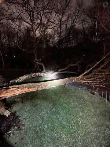Tree Down Spring Valley