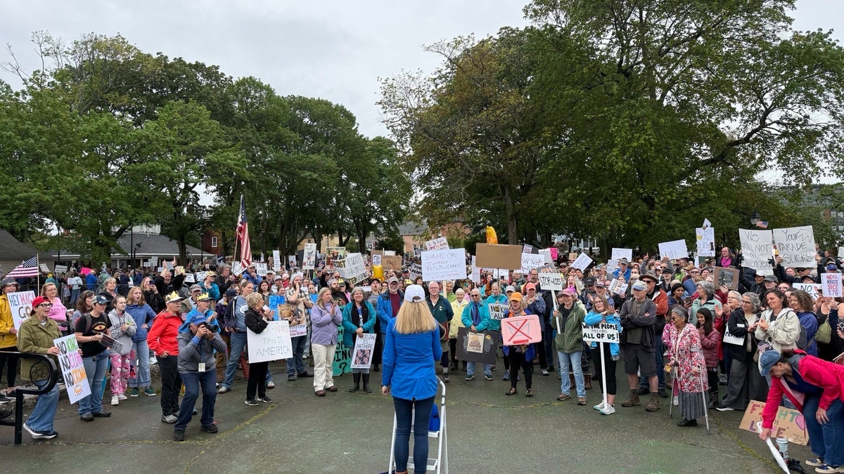 Democrat speaking at rally