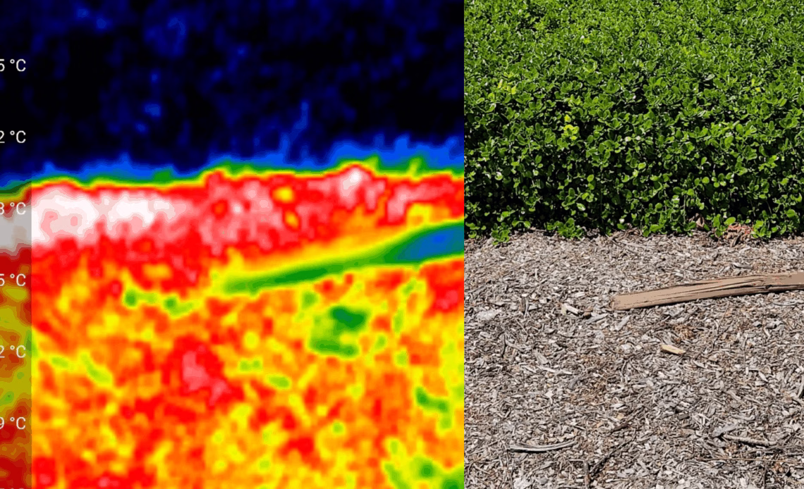 A comparison of a thermal camera image (left) and the photo of a garden box (right)