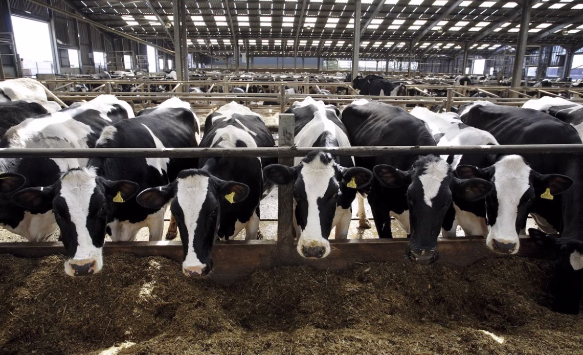 Raw milk carrying Salmonella sickened 170 people in 5 states, mainly kids
