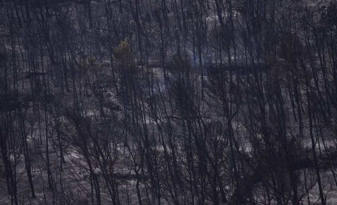 1,400 firefighters battle to contain France's largest wildfire in decades