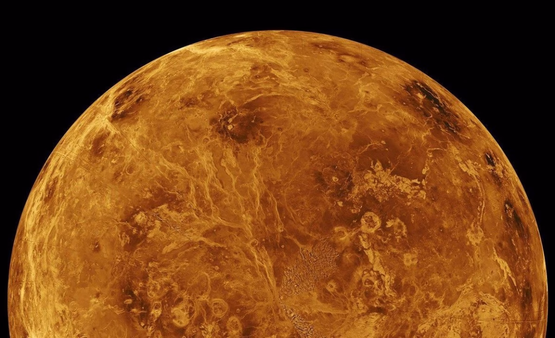 Venus quiz: How much do you know about this hottie?