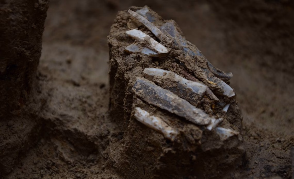30,000-year-old 'toolkit' found in Czech Republic reveals 'very rare' look at Stone Age hunter-gatherer