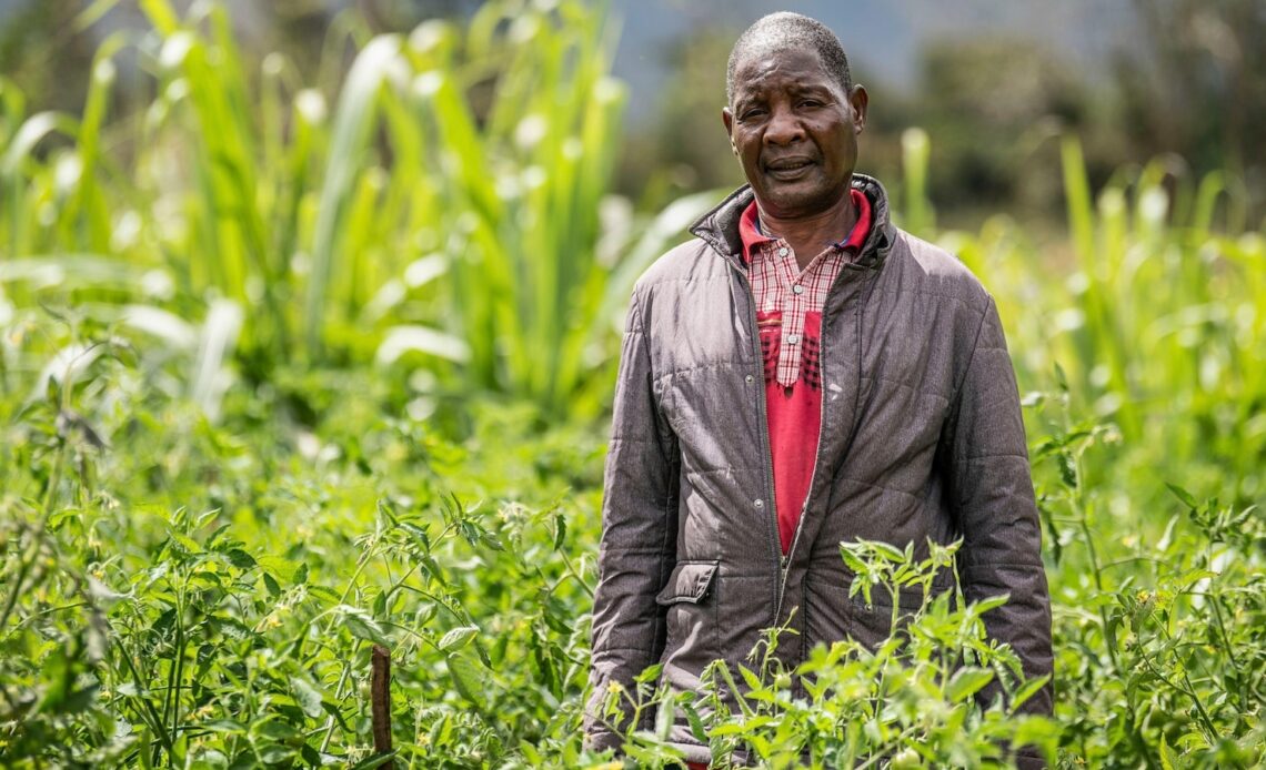 How Malawi is taking AI technology to small-scale farmers who don't have smartphones